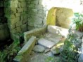 /album/galeria-de-fotos/ricardina-jpg/